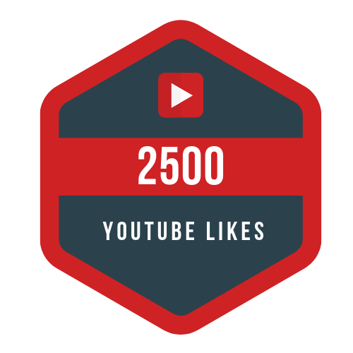2500 youtube likes