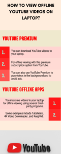 See YouTube Offline Videos On Your System